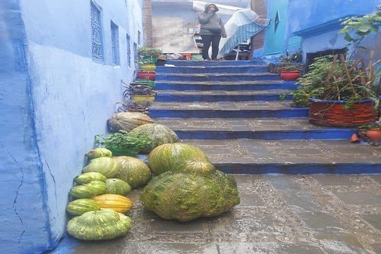 Tour image 5
