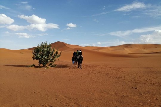 Tour image 8