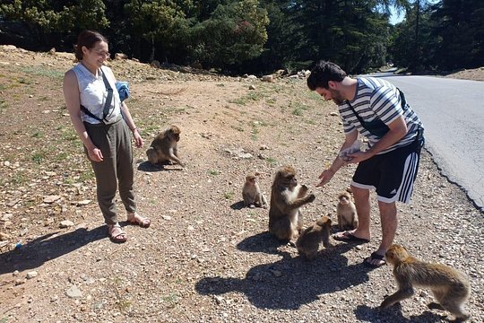 Tour image 6
