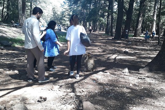 Tour image 3