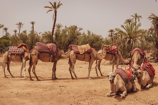 Tour image 6