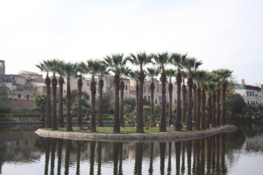 Tour image 6