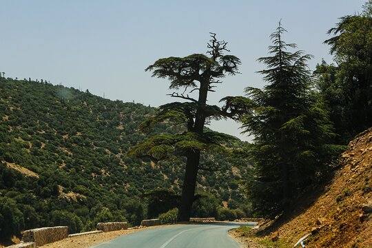Tour image 1