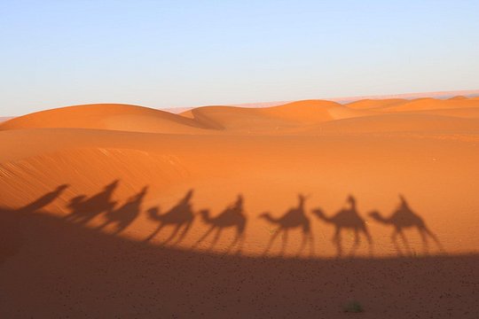 Tour image 10