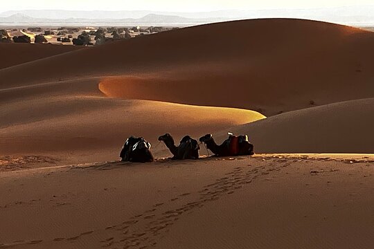 Tour image 10