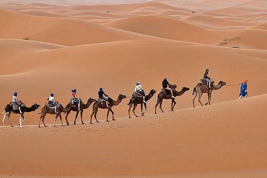 Tour image 11