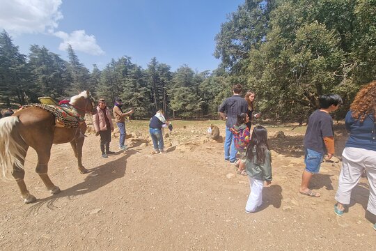 Tour image 3
