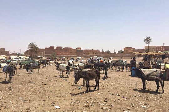 Tour image 10