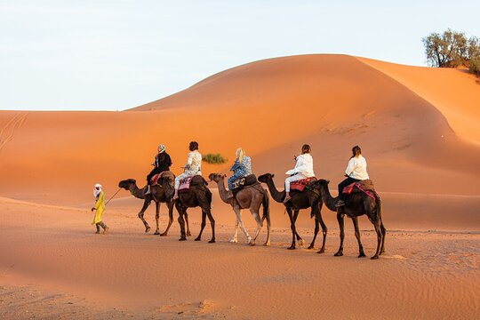 Tour image 2