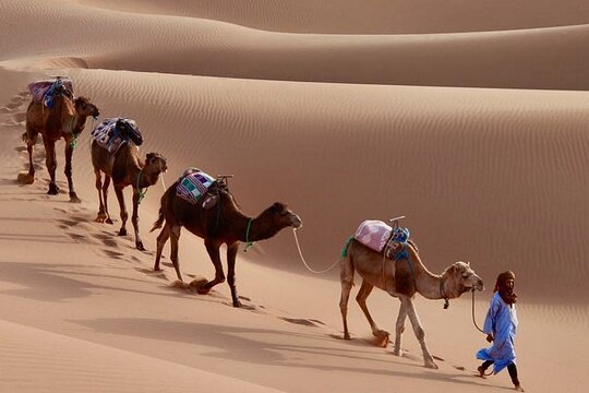 Tour image 5